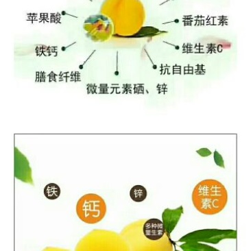 炎陵黄桃，