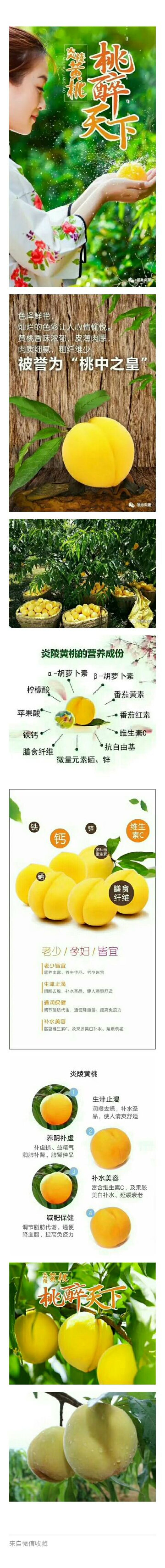 炎陵黄桃，