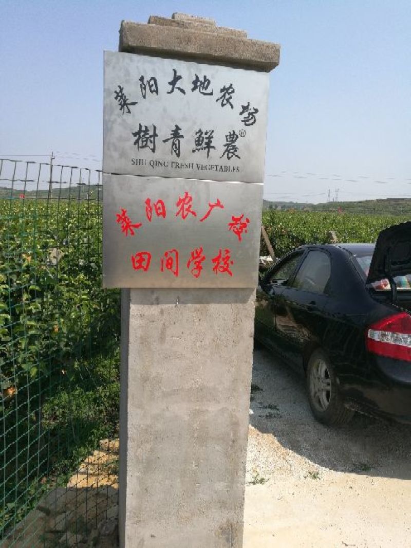秋月梨