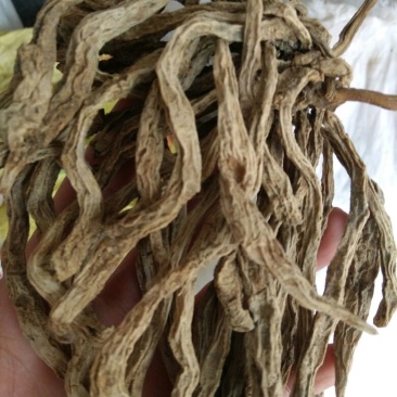 野生天麻，农村在山上挖的，干度非常好！！