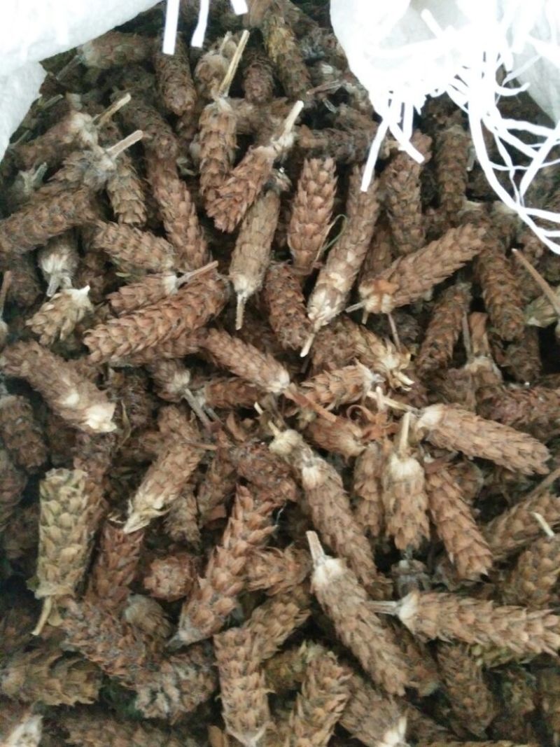 野生夏枯球，干度非常好，可以降血压