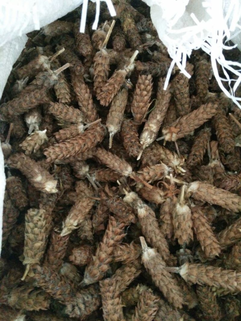 野生夏枯球，干度非常好，可以降血压