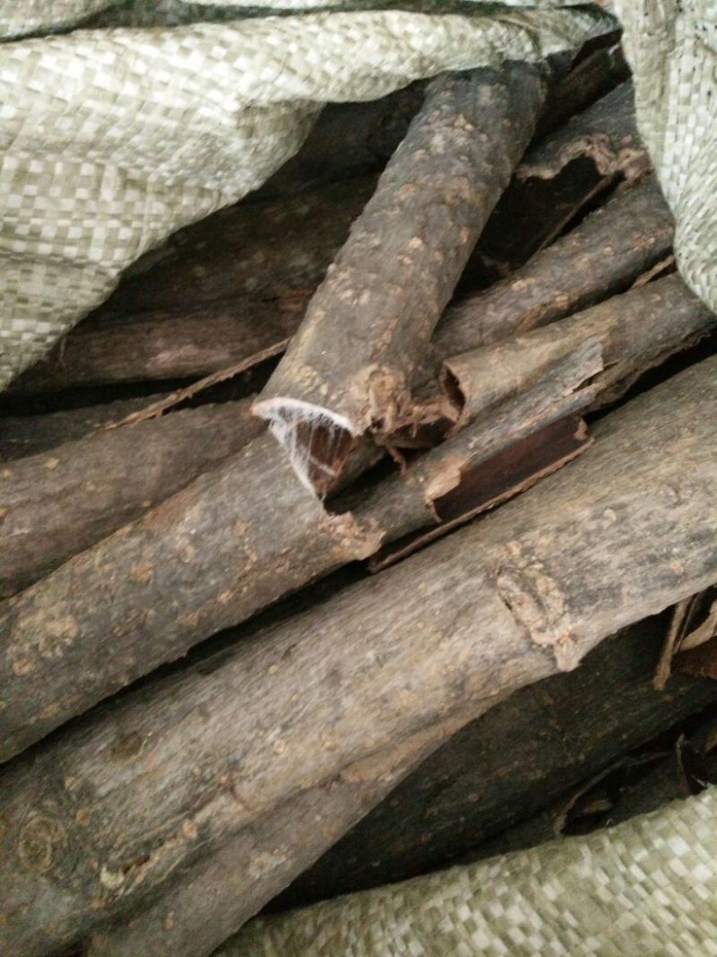 肚肿树皮，干货，农村产