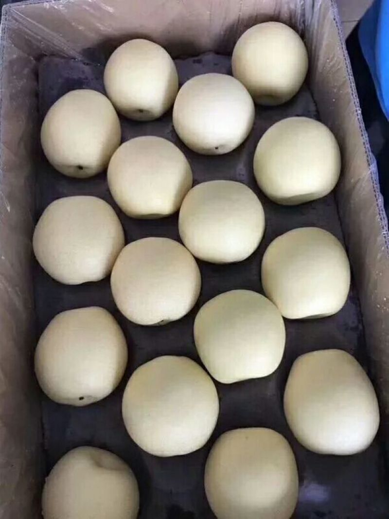 河北皇冠梨，皮薄芯小食用率高对接(电商，批发，商超市]等
