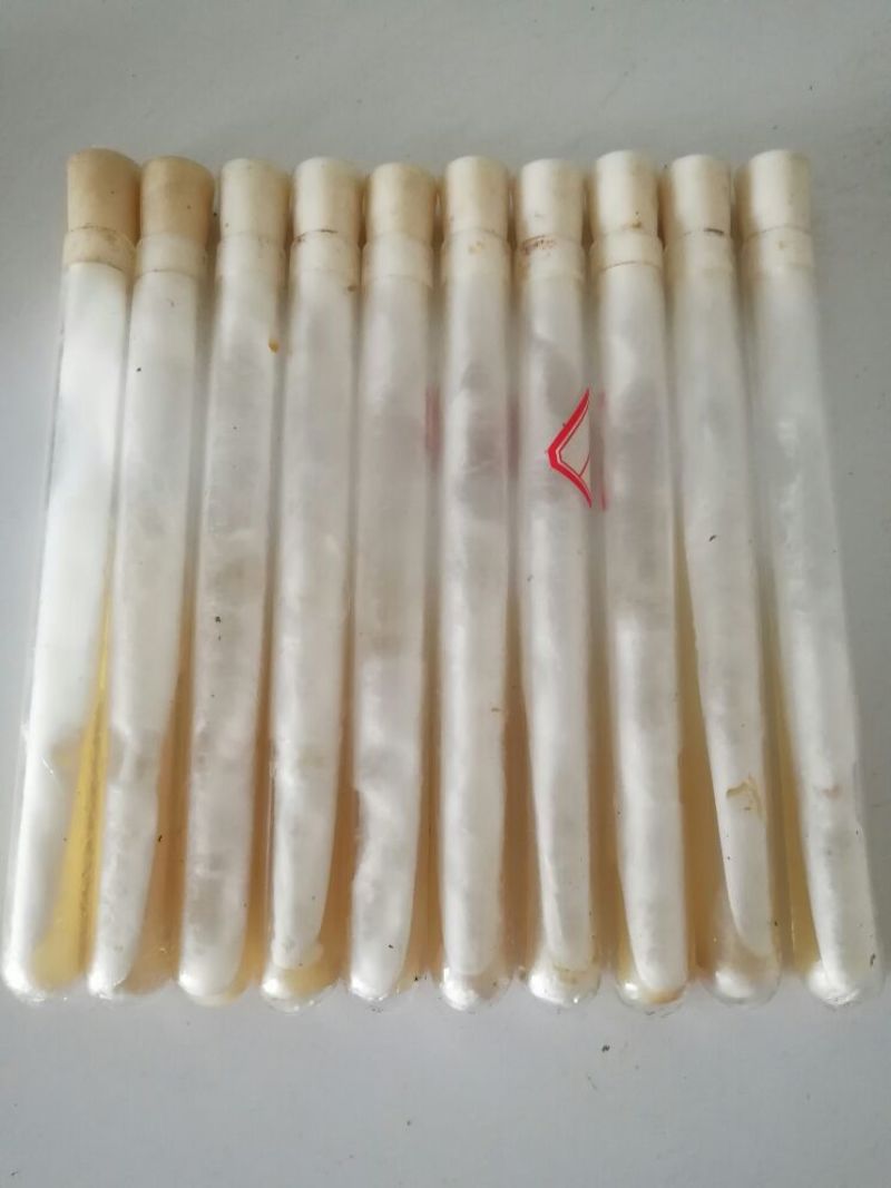 各种蘑菇食用菌母种一级种
