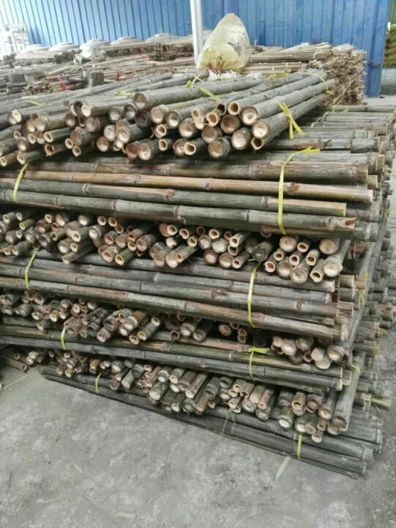 精品精选产地楠竹（毛竹）尾，各种规格齐全。
