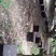 土蜂蜜
