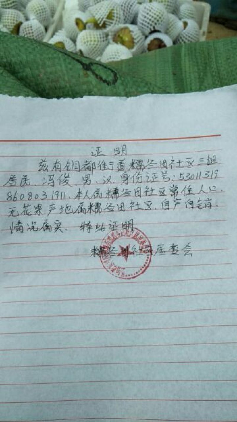波姬红无花果！！