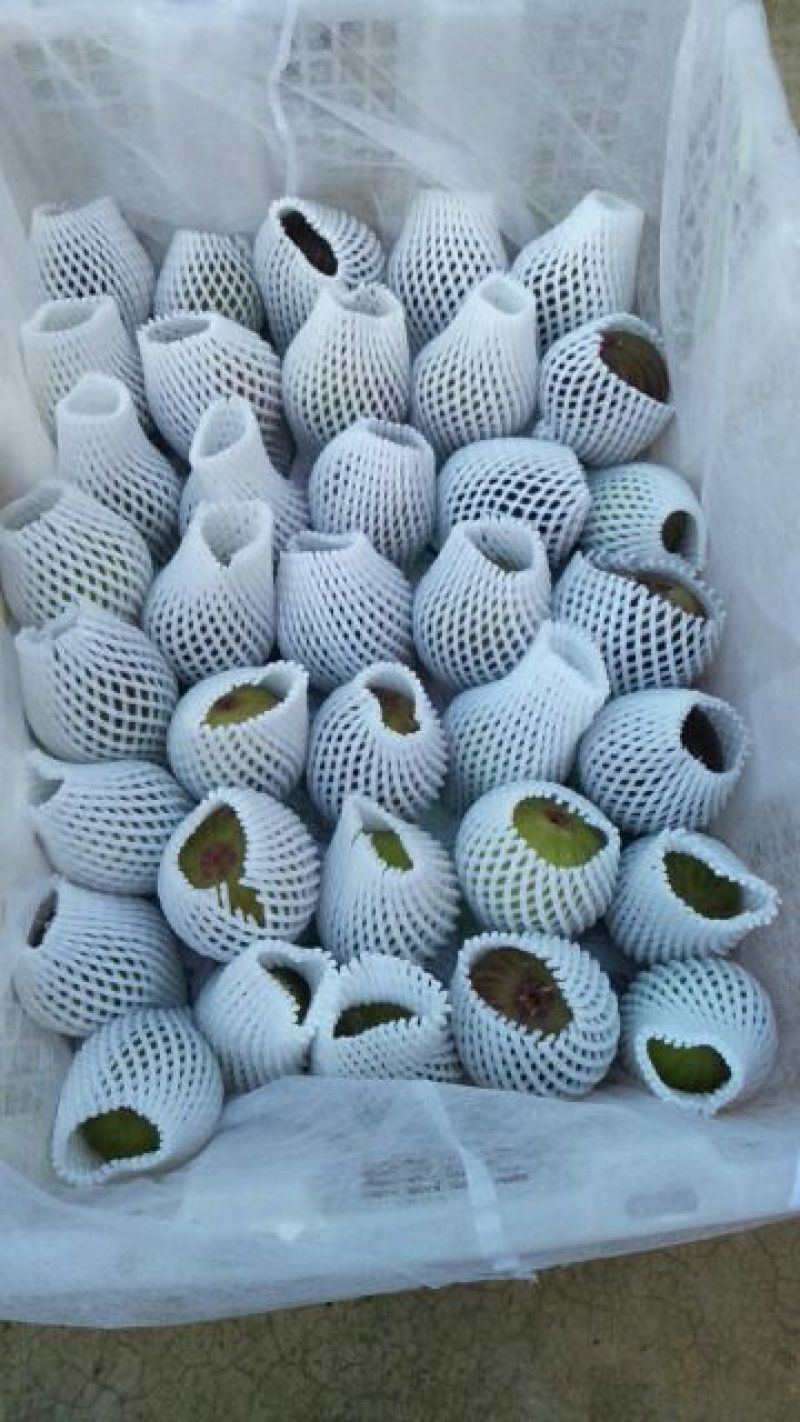 波姬红无花果！！