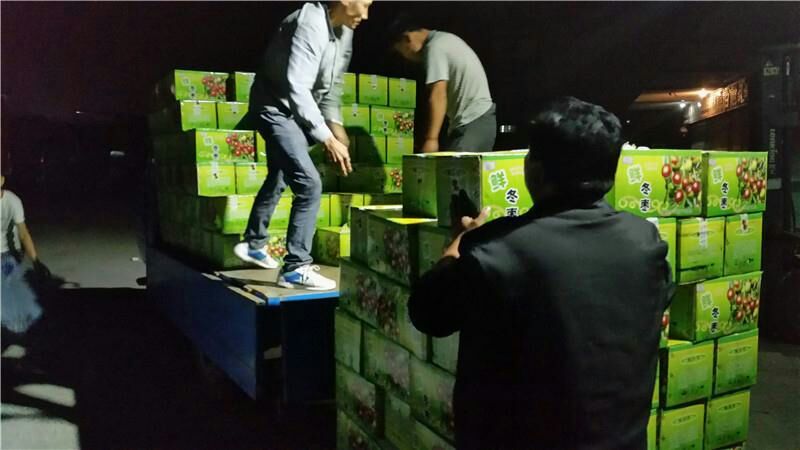 电商货源山东早熟冬枣果大脆甜基地现摘现发价格实惠