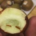 冬枣统货