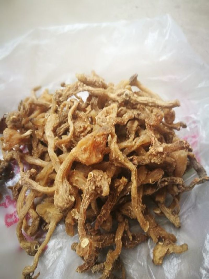 鸡头黄精