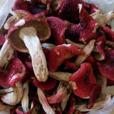 野生菌