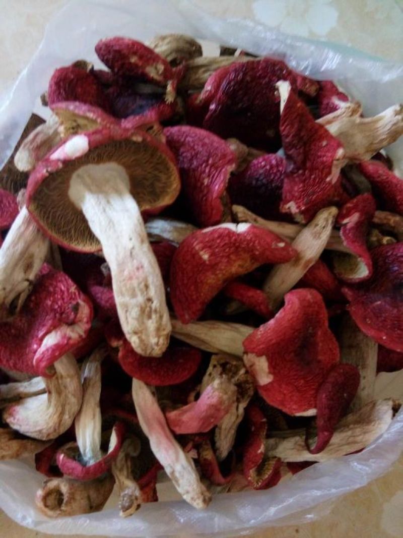 野生菌