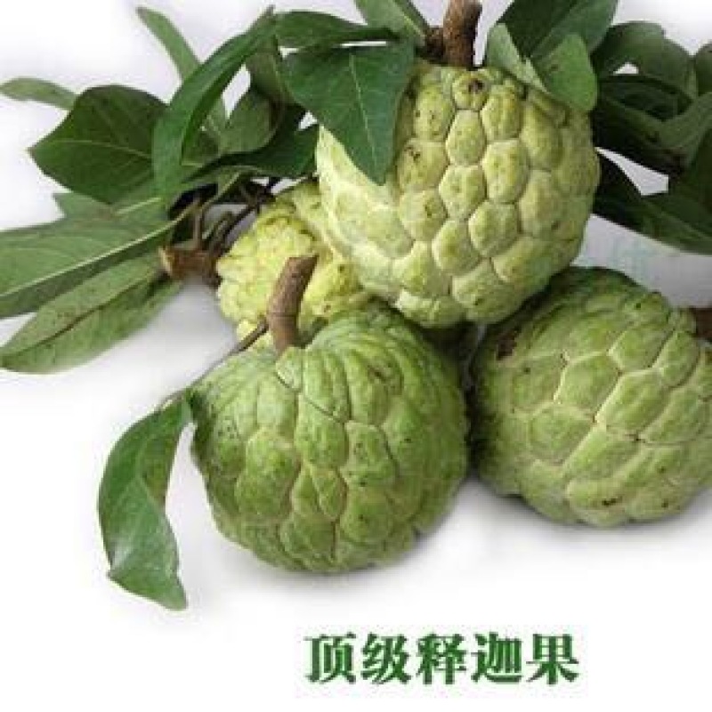 释迦450~550g特级
