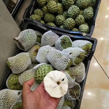 释迦100~150g一级