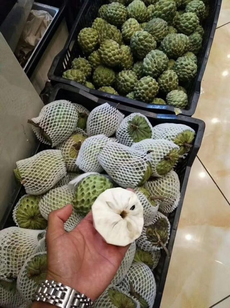 释迦100~150g一级