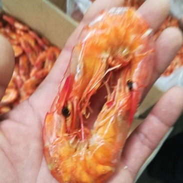 烤虾
