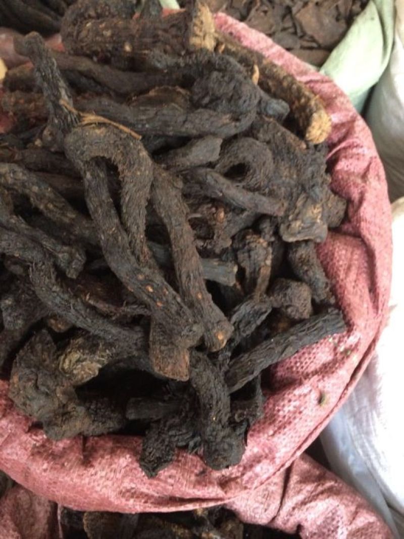 肉苁蓉，中大条