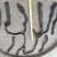 肉苁蓉，中大条