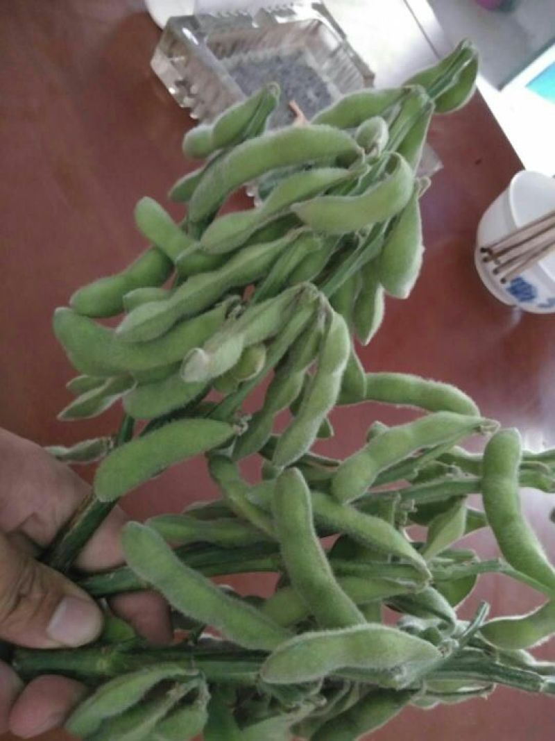 绿宝石