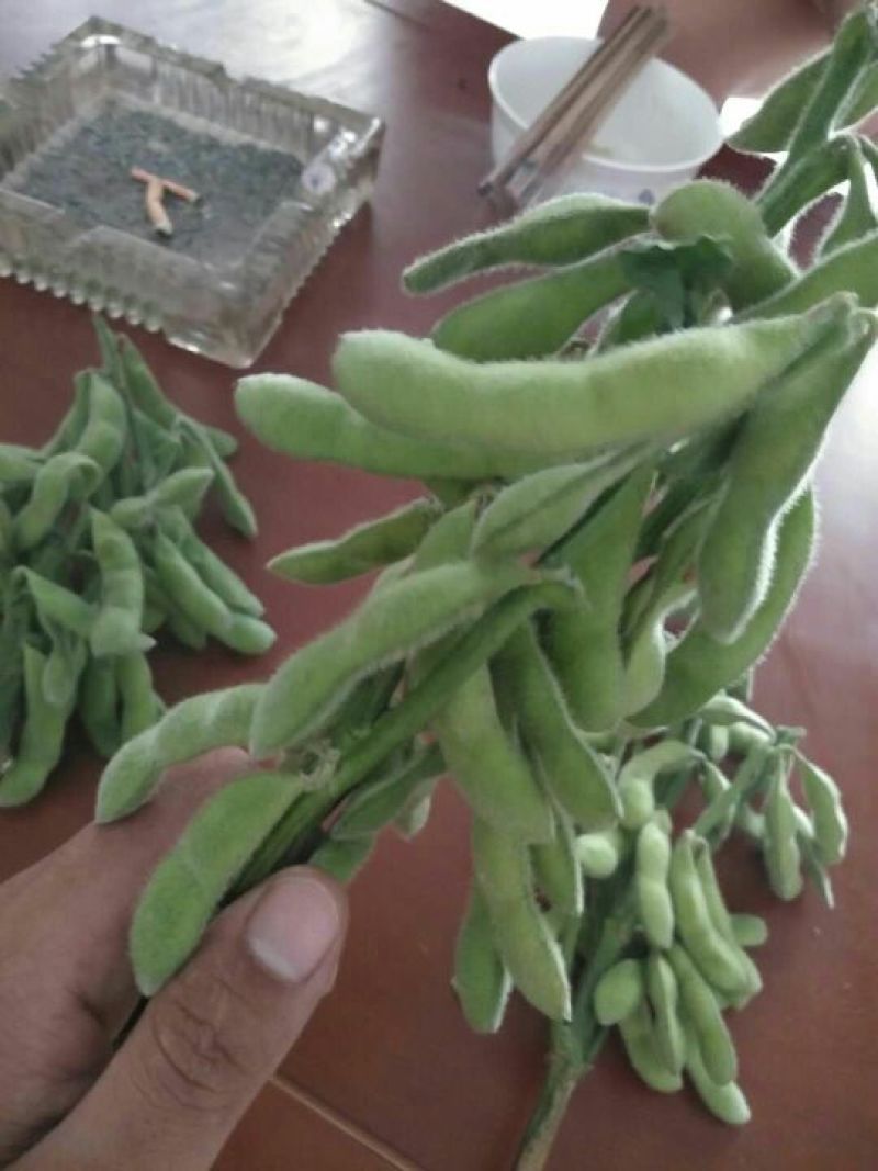 绿宝石
