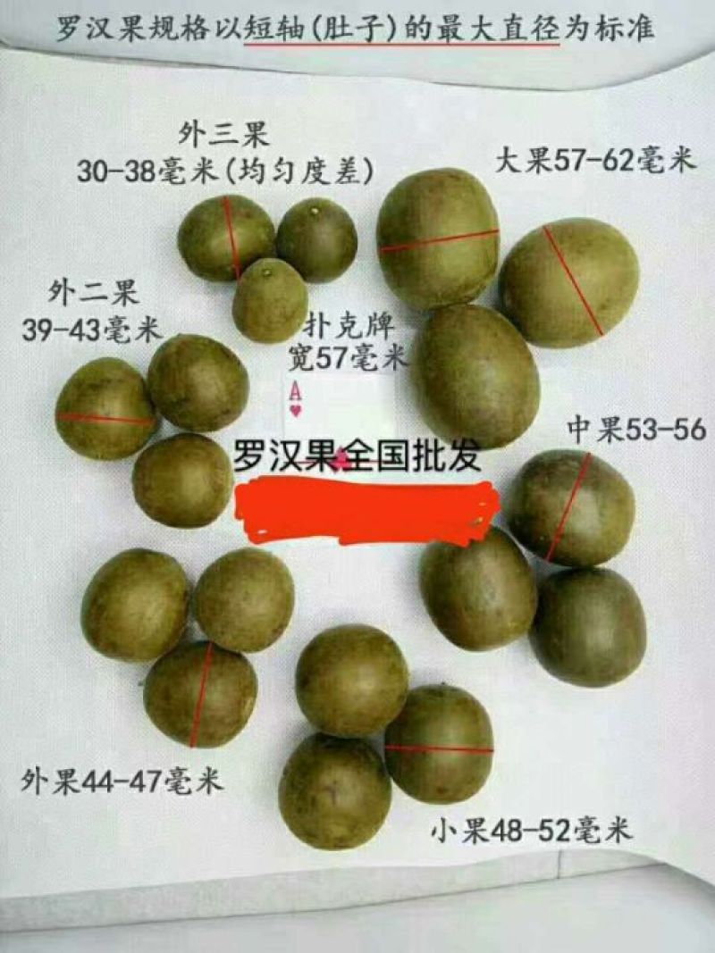 红菇