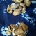 云南野生香菇，批发，零售货源稳定长期合作全国包邮货源下单！