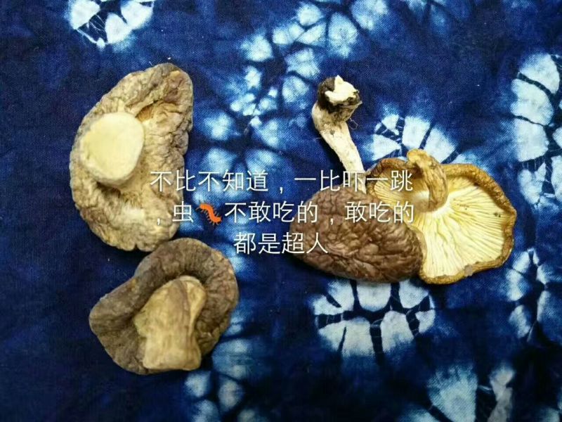 云南野生香菇，批发，零售货源稳定长期合作全国包邮货源下单！