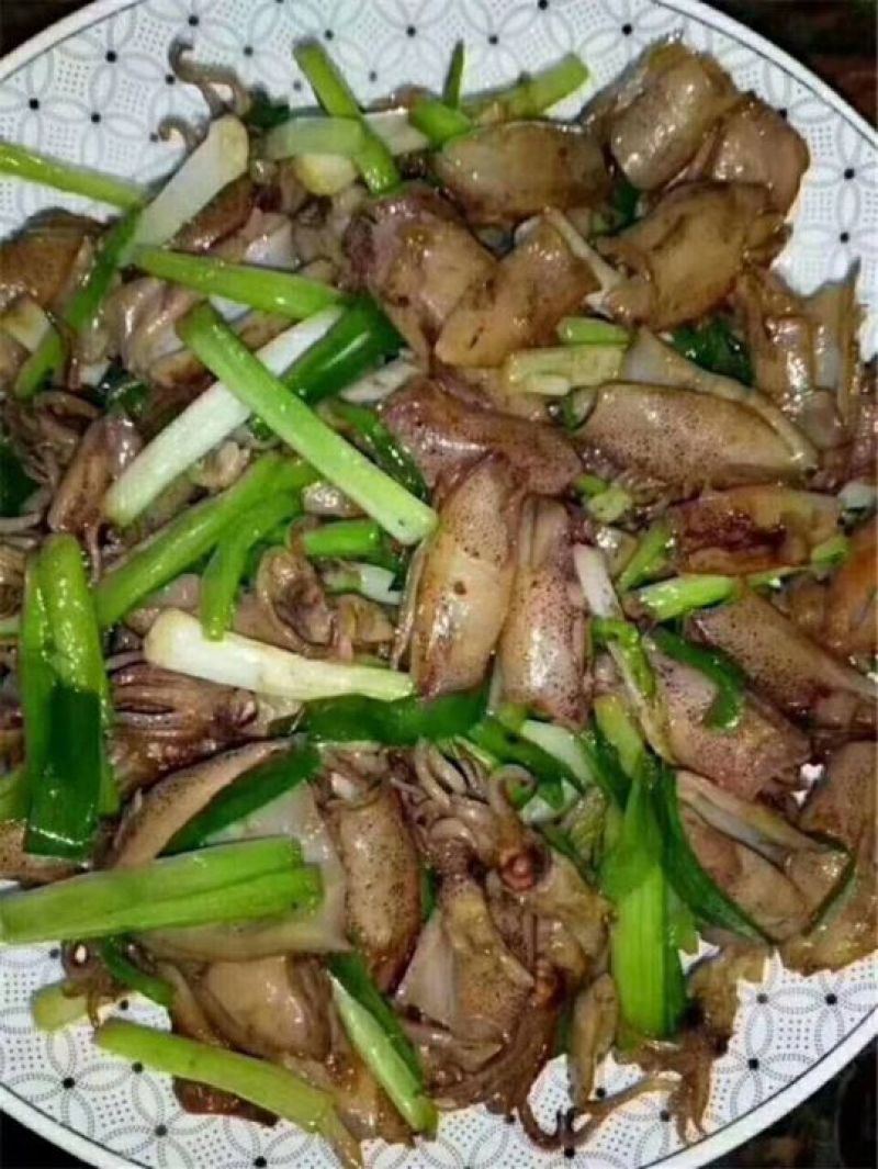 小鱿鱼