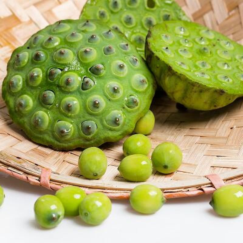 山东微山湖新鲜嫩莲子