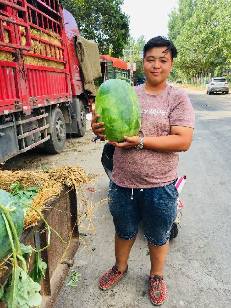 露天西瓜大量上市，供应多品种，协助找车欢迎来电咨询订购!