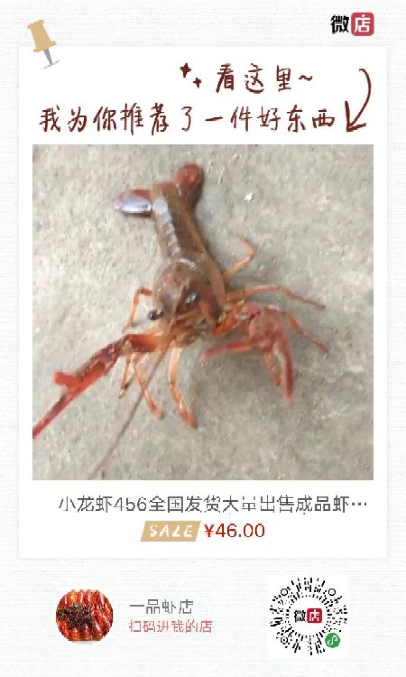 风干鸡