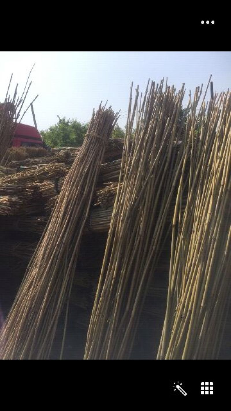 大量供应，毛竹，菜架竹，