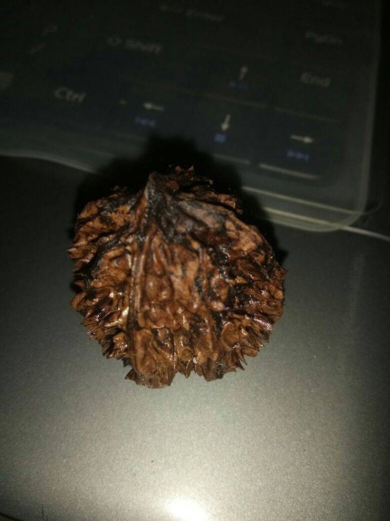 文玩核桃十堰野生干货