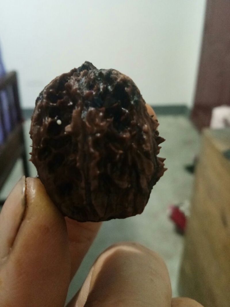 文玩核桃十堰野生干货