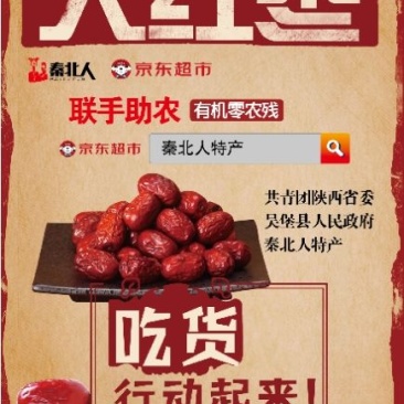 陕北黄河滩枣红枣