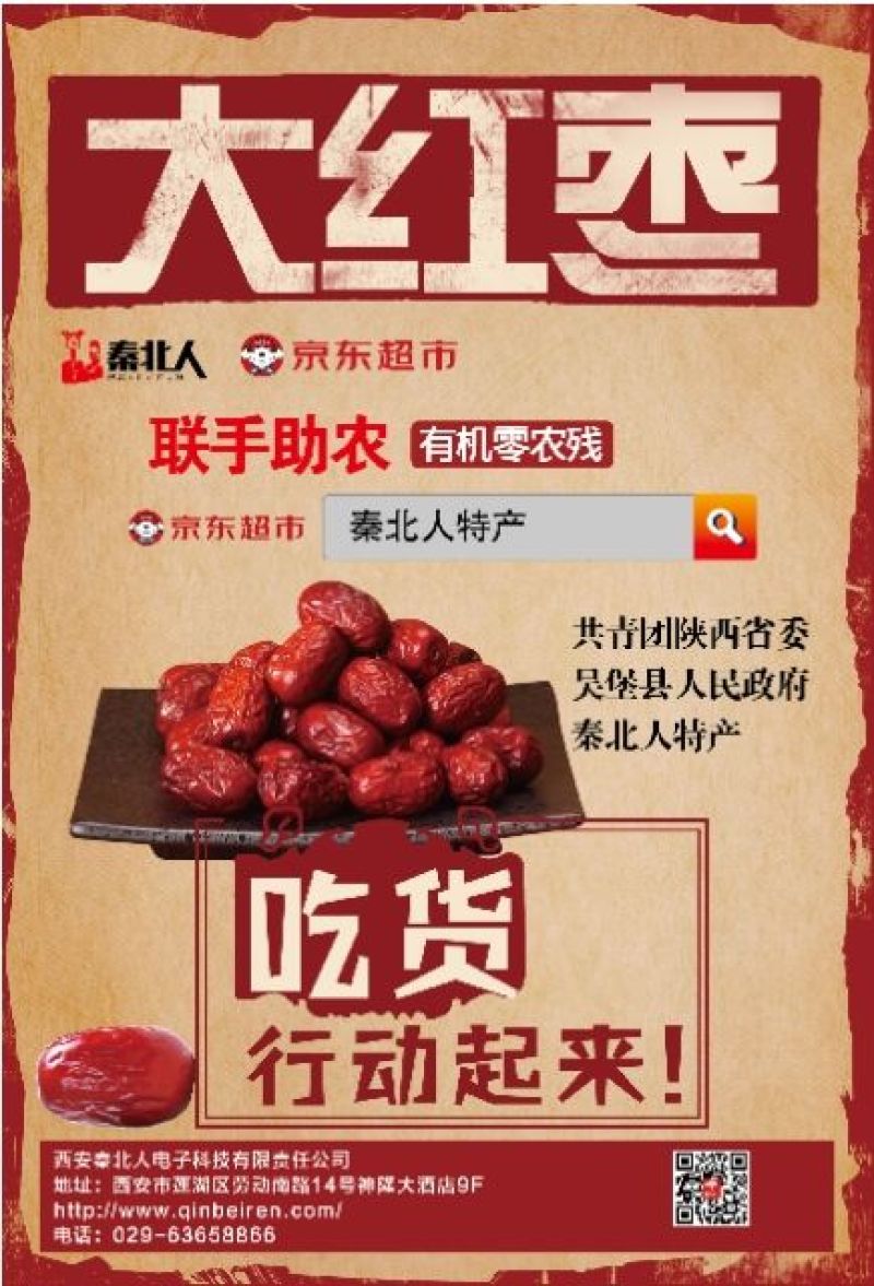 陕北黄河滩枣红枣
