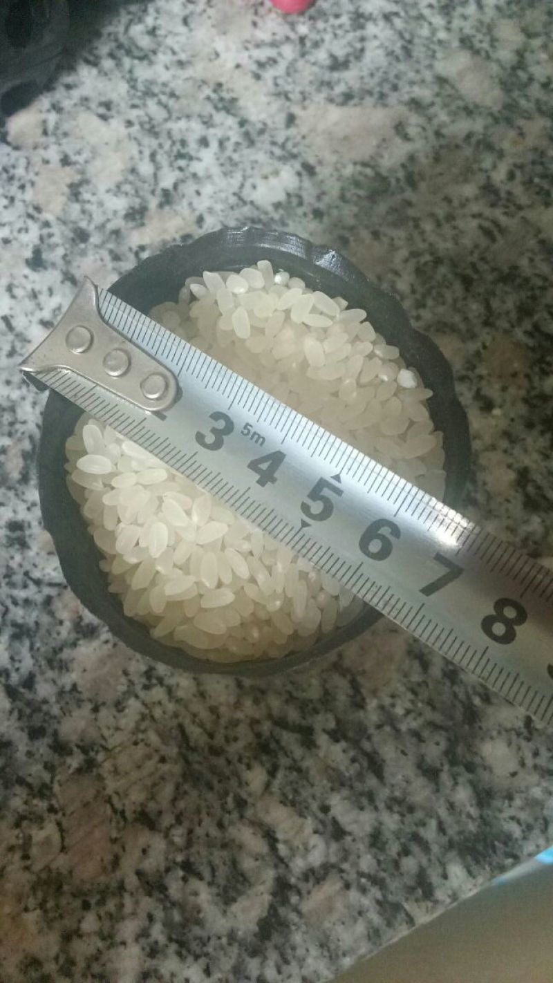 营养钵学名8乘8每件一万个