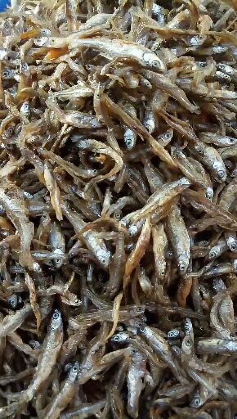 油炸鱼干白肖叼子翘白蓝刀油炸小鱼干小鱼仔鱼干无盐鱼干