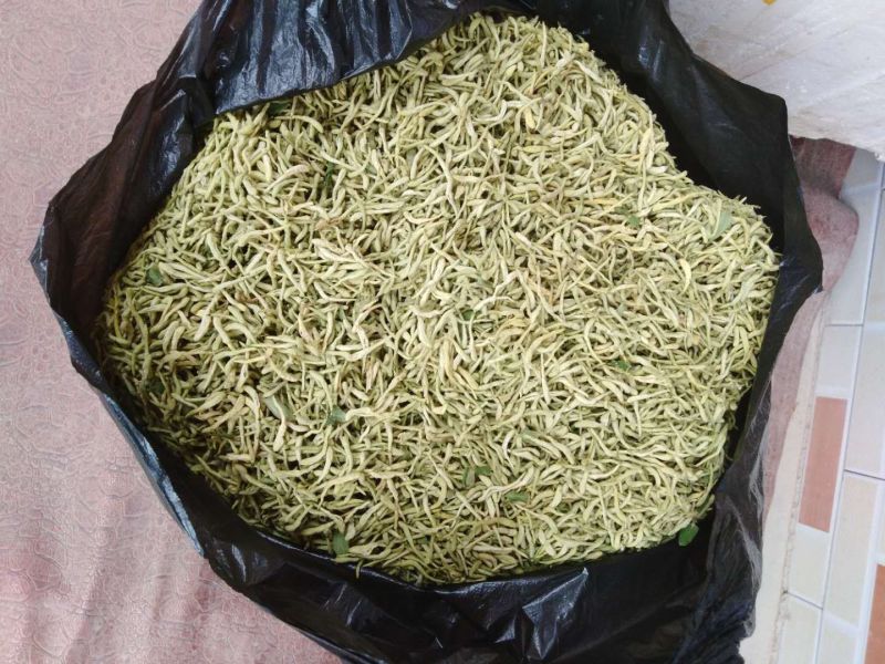 金银花