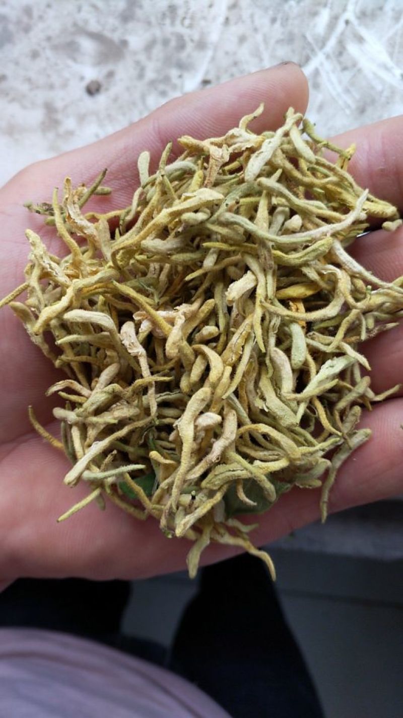 金银花
