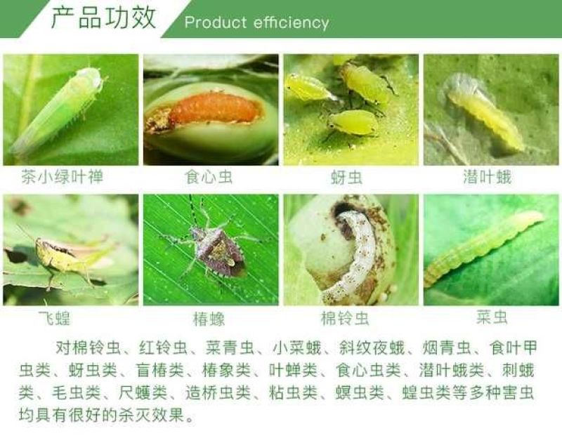 德国拜耳敌杀死溴氰菊酯食心虫棉铃虫蚜虫杀虫剂