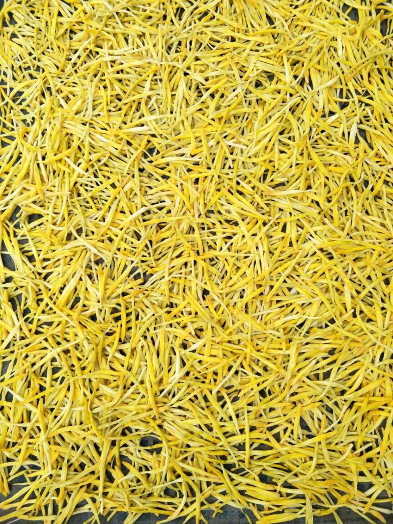 产地直批黄花菜金针菜干品