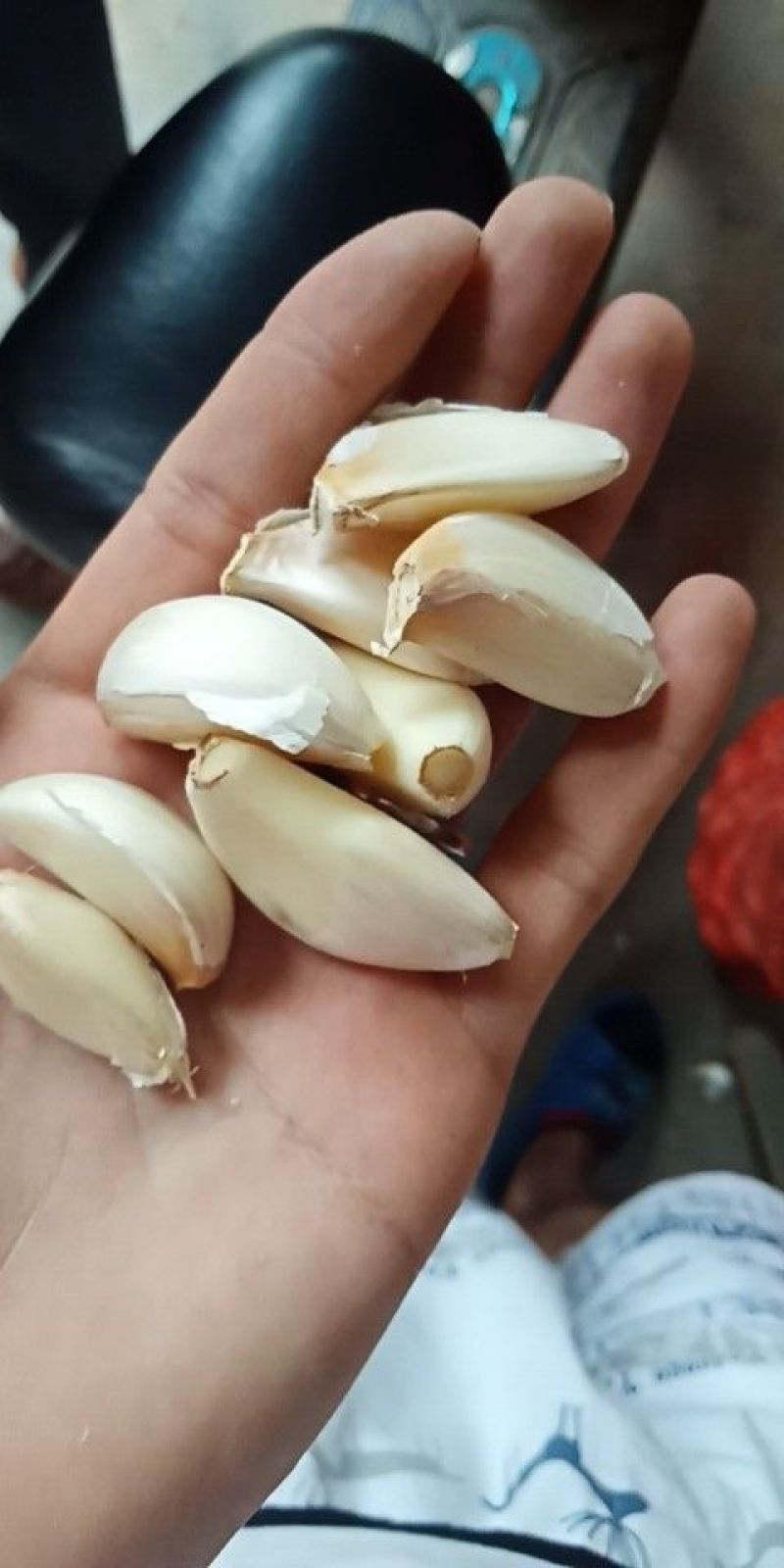山东紫皮大蒜，大量供应品质保障，一手货源可视频看货