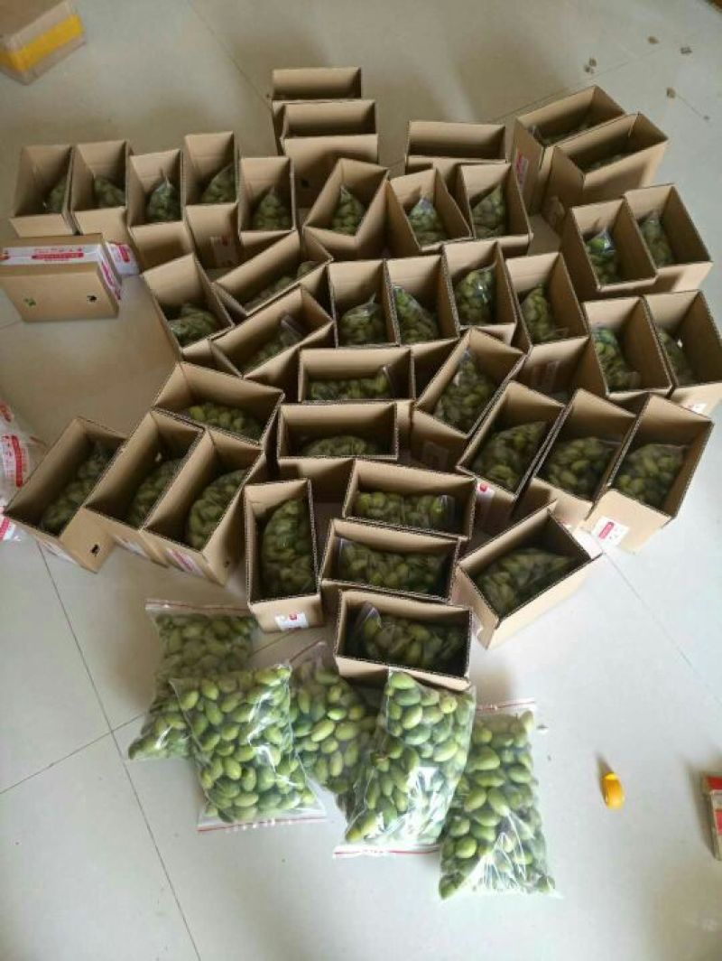青橄榄青果