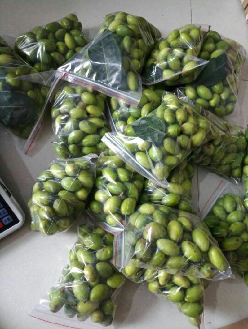 青橄榄青果