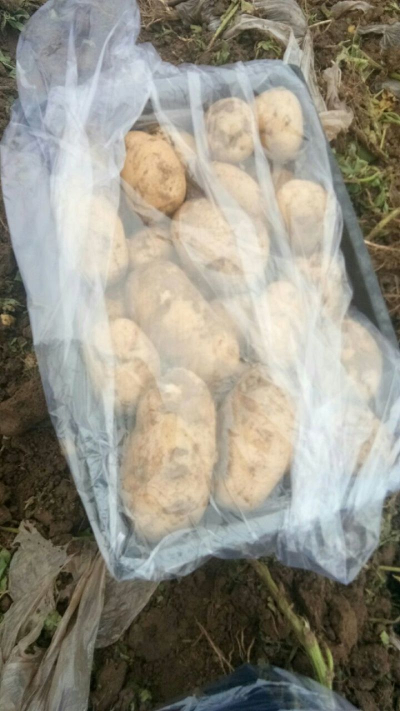 基地价格美丽