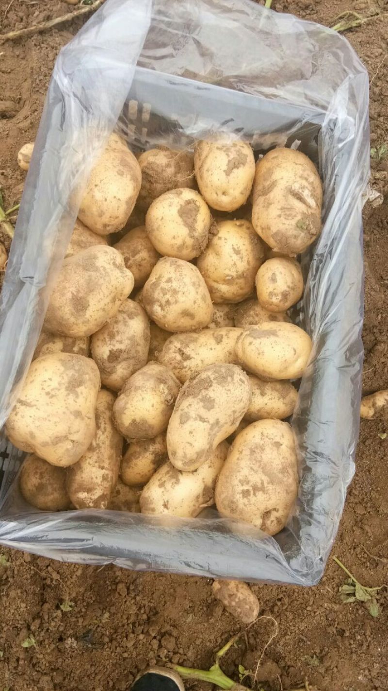 基地价格美丽