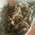 滚筒野生苍术